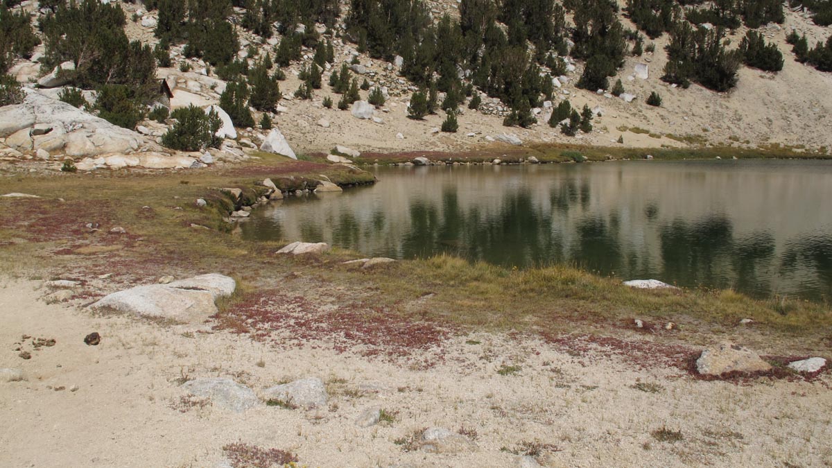 Lower Trail Lake, Reflecting Trees